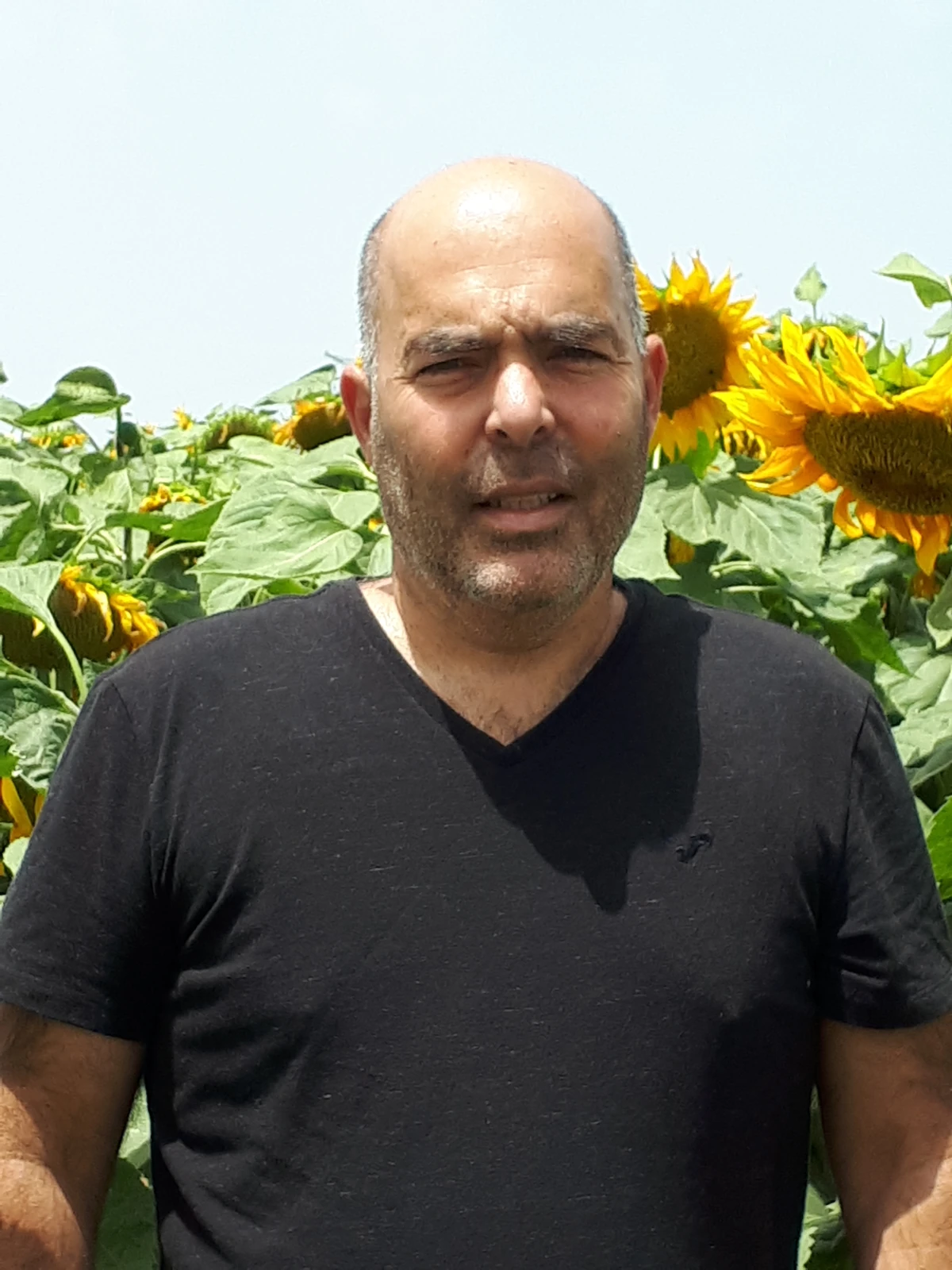 אופיר שטלצר